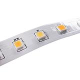 Pasek LED 12V L120 16W/M 12 IP00CCT 3000-6000K 33317 KANLUX