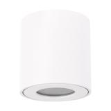 Oprawa sufitowa ZORBA DWL GU10 WHITE 03954 IDEUS