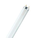 L 36W/77 FLH1 OSRAM