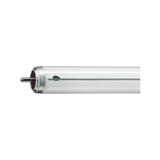 Świetlówka Fa6 20W 640 4100K TLX przeciwwybuchowa 9,28038E+11 PHILIPS