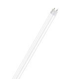 Tuba LED T8 ENTRY 1200mm 16W 865 220-240V EM