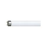Świetlówka G13 36W 840 4000K barwa neutralna Master TLD Super 80 1m 9,27923E+11 PHILIPS