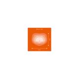 Oprawa uliczna STREETLIGHT FLEX MEDIUM 80W 740 RW35ST ALW