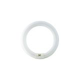 Świetlówka kołowa G10q 32W 840 4000K barwa neutralna 32W/ 840 TLE 9,28026E+11 PHILIPS