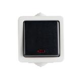 TEKNO Łącznik jednobiegunowy z LED śrubowy 10AX 250V szary IP54 25353 KANLUX