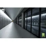 CorePro LEDtube 1200mm UO 21.5W 865 T8 Świetlówka LED 9,29003E+11 PHILIPS