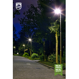 Żarówka LED 21W=50W 3000lm 4000K barwa neutralna TForce LED HPL 30-21W E27 840 5 lat gw. 9,29002E+11 PHILIPS