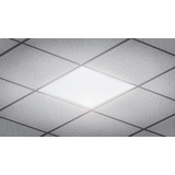 Panel LED PILA RC007B 40W 4000lm IP20 4000K barwa neutralna LED40S/ 840 PSU I W60L60 NOC 9,11402E+11 PHILIPS