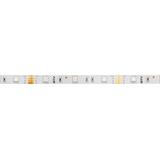 GTV TAŚMA FLASH RGB, 150 LED, 36W BEZ  ŻELU 10mm, ROLKA 5m LD-RGB-150-20 GTV Poland