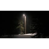Oprawa uliczna STREETLIGHT FLEX SMALL 25W 730 RV25ST ALW