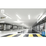 Tuba LED MASTER 17,6W=58W 3700lm 6500K barwa zimna LEDtube 1500mm UE 17,6W 865 T8 EELA Tuby LED 10 l 9,29004E+11 PHILIPS