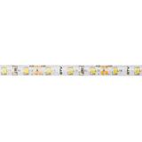 GTV TAŚMA FLASH 2835, 300 LED ZIMNY BIAŁY, 30W WODOODPORNA 8mm, ROLKA 5m LD-2835-300-65-ZB GTV Poland