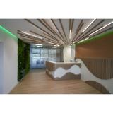 Pasek LED Performance P-1000/930/5
