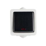 TEKNO Łącznik jednobiegunowy z LED śrubowy 10AX 250V szary IP54 25353 KANLUX