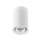 Oprawa punktowa CHLOE SPOT GU10 NATYNKOWA IP20 okrągła biała ruchoma Spectrum LED