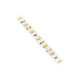 GTV TAŚMA FLASH 5630, 300 LED CIEPŁY BIAŁY, 80W BEZ ŻELU 10mm, ROLKA 5m LD-5630-300-20-CB GTV Poland
