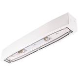 Oprawa awaryjna N/T Suprema SC 250 SA 3H AT IP54 NT 94706 INTELIGHT