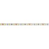 GTV TAŚMA FLASH 2835, 300 LED NEUTRALNY BIAŁY 4000K, 30W, BEZ ŻELU 8mm, ROLKA 5m, 12V LD-2835-300-20-CB GTV Poland