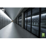 Tuba LED 15,5W=36W 1800lm 4000K barwa neutralna LEDtube 1200mm 15,5W 840 T8 3 lata gw. 9,29004E+11 PHILIPS