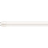 Tuba LED PILA HO 9W=18W 900lm 4000K barwa neutralna Pila LED tube 900mm 840 G13 Tuby LED PHILIPS