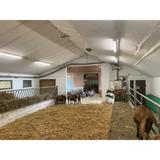 Oprawa DAMP PROOF LED SPECIAL 1500 50W 4000K WT IP67