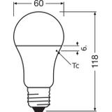 Lampa LED VALUE Classic A100 non-dim plastik 13W 830 E27