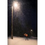 Oprawa uliczna STREETLIGHT FLEX SMALL 25W 730 RV25ST ALW