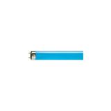 Świetlówka G13 18W 18 TLD niebieska 9,28048E+11 PHILIPS