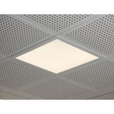 Oprawa PANEL COMFORT 600 P 33W 865 DALIVR