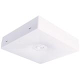 Oprawa awaryjna natynkowa Starlet Quad LED SO 150 A 1H AT IP20 / 230V 92803 INTELIGHT