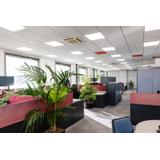 Oprawa PANEL PERFORMANCE 600 ZIGBEE 36W 4000K