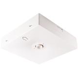 Oczko awaryjne N/T STARLET QUAD LED SOH 350 A 2H AT IP20 92875 INTELIGHT