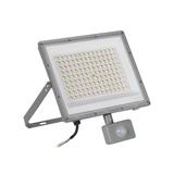 Naświetlacz LED z czujnikiem ruchu ACETE 100W CCT SE GR IP44 szary zmienna barwa świecenia 38499 KANLUX
