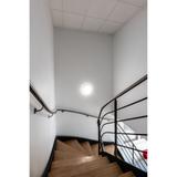 Oprawa ścienna o dużej odporności na uderzenia Surface Compact 300 24W 4000K IK10 IP65