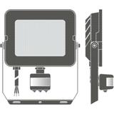 Naświetlacz FLOOD COMPACT SENSOR V 50W 840 SYM 100 black