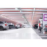 Pasek LED LS AY-CP/P2/500 50X2         LEDV