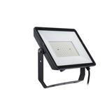Naświetlacz halogen reflektor LED PILA 100W 4000K neutralna BVP008 9,11402E+11 PHILIPS