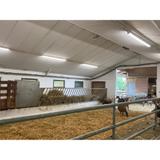 Oprawa DAMP PROOF LED SPECIAL 1500 50W 4000K WT IP67