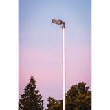 Oprawa STREETLIGHT AREA SM V 45W 765 RV20ST GY