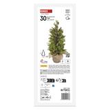 Ozdoba świąteczna choinka 30 LED 50 cm ciepła biel IP44 timer DCTW31 EMOS