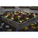 Oprawa SMART+ WIFI GARDEN DOT 9P RGBW