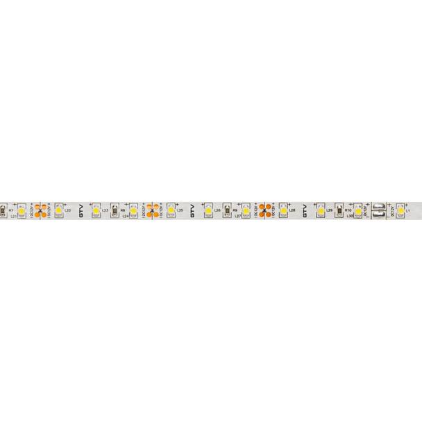 Taśma LED FLASH 3528 300 LED ciepły biały 24W IP20 bez żelu 8mm rolka 5m GTV LD-3528-300-20-CB GTV Poland
