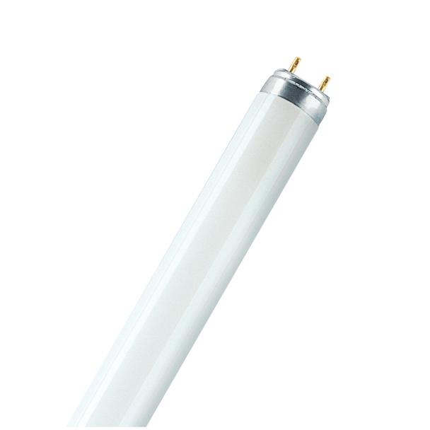 L 36W/77 FLH1 OSRAM