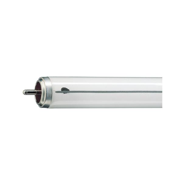 Świetlówka Fa6 20W 640 4100K TLX przeciwwybuchowa 9,28038E+11 PHILIPS