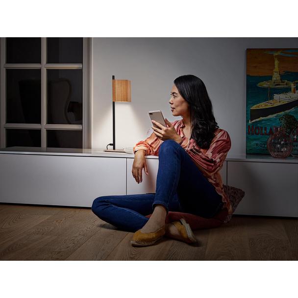 Oprawa Smart+ Decor Wood table TW bk and wood