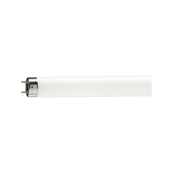 Świetlówka G13 18W 79 TLD Food mięsna 9,28048E+11 PHILIPS