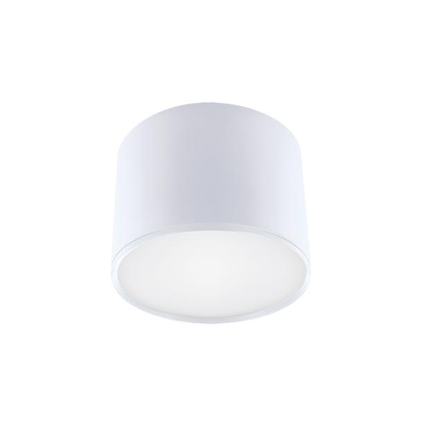 Oprawa sufitowa natynkowa ROLEN LED BIAŁA 4000K 03108 IDEUS
