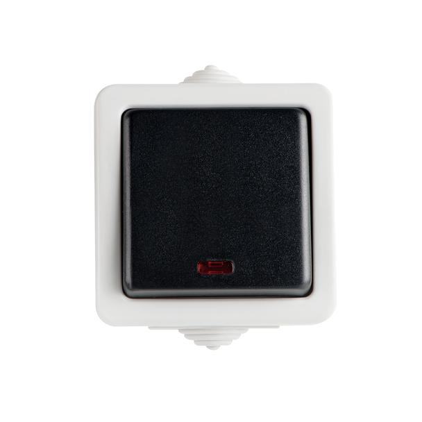 TEKNO Łącznik jednobiegunowy z LED śrubowy 10AX 250V szary IP54 25353 KANLUX