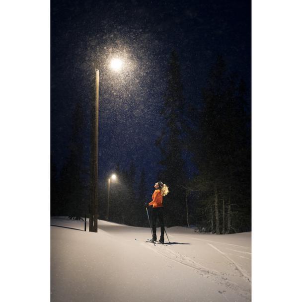 Oprawa uliczna STREETLIGHT FLEX SMALL 25W 730 RV25ST ALW