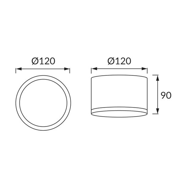 Oprawa sufitowa SMD LED ROLEN LED 10W 4000K 03109 IDEUS
